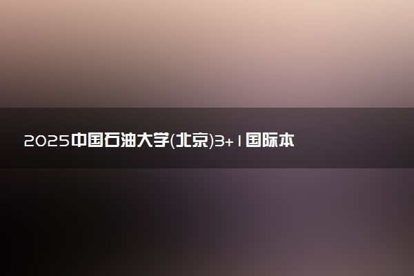 2025中国石油大学（北京）3+1国际本科项目招生简章 收费标准一览