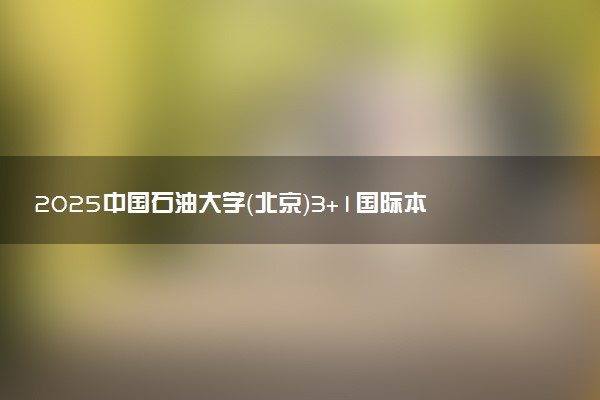 2025中国石油大学（北京）3+1国际本科录取要求 满足什么条件