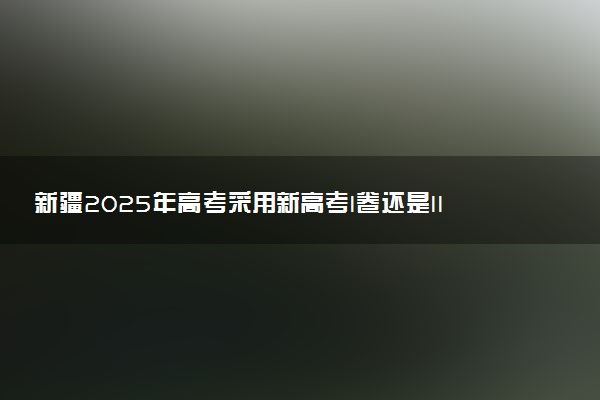 新疆2025年高考采用新高考I卷还是II卷 试卷难不难