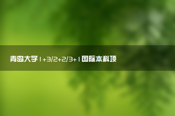 青岛大学1+3/2+2/3+1国际本科项目介绍