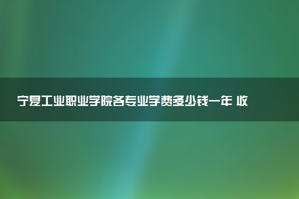 宁夏工业职业学院各专业学费多少钱一年 收费标准是什么
