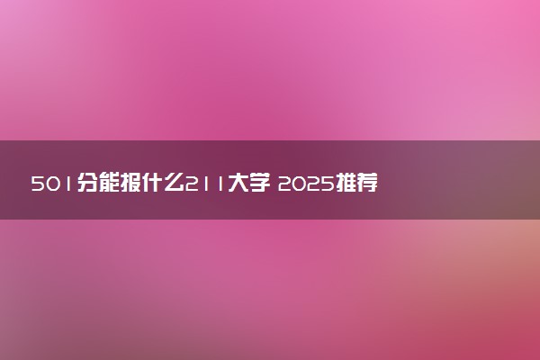 501分能报什么211大学 2025推荐院校