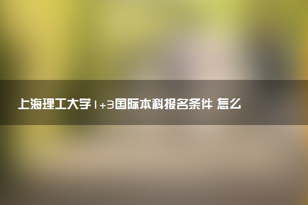 上海理工大学1+3国际本科报名条件 怎么申请