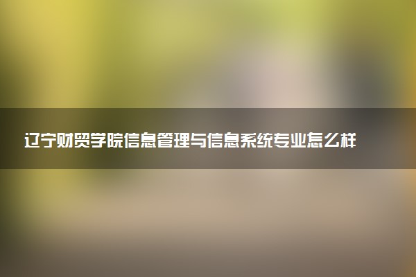 辽宁财贸学院信息管理与信息系统专业怎么样 录取分数线多少