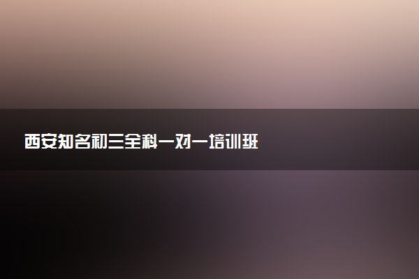 西安知名初三全科一对一培训班