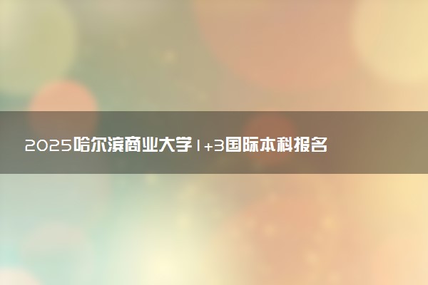 2025哈尔滨商业大学1+3国际本科报名入口 怎么报考