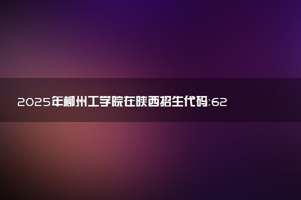 2025年柳州工学院在陕西招生代码：6221 专业代码及报考指南