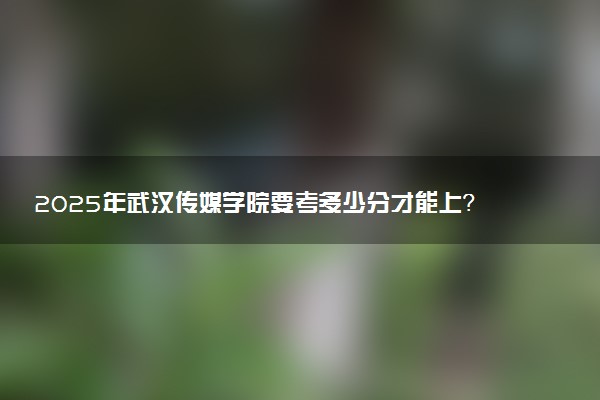 2025年武汉传媒学院要考多少分才能上？历年录取分数线及报考指南（含预测）
