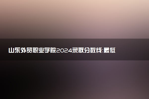 山东外贸职业学院2024录取分数线：最低277分 附2025年报考建议及注意事项