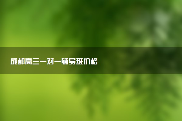 成都高三一对一辅导班价格