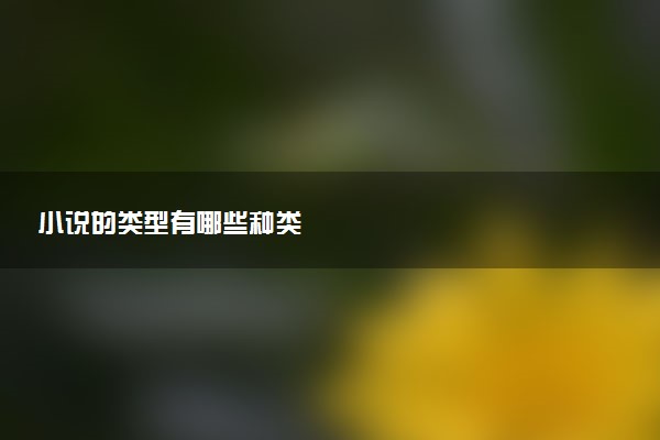 小说的类型有哪些种类