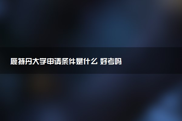 鹿特丹大学申请条件是什么 好考吗