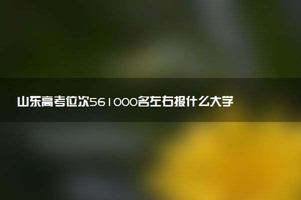 山东高考位次561000名左右报什么大学好（2025年参考）