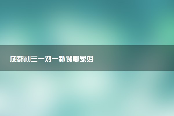 成都初三一对一补课哪家好