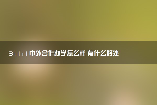 3+1+1中外合作办学怎么样 有什么好处