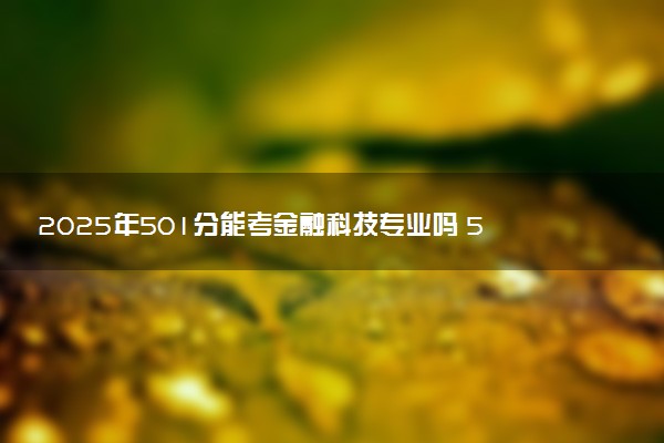 2025年501分能考金融科技专业吗 501分金融科技专业大学推荐