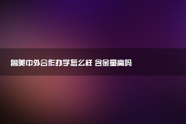 鲁美中外合作办学怎么样 含金量高吗