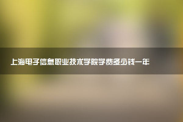 上海电子信息职业技术学院学费多少钱一年 各专业收费标准（2025年参考）