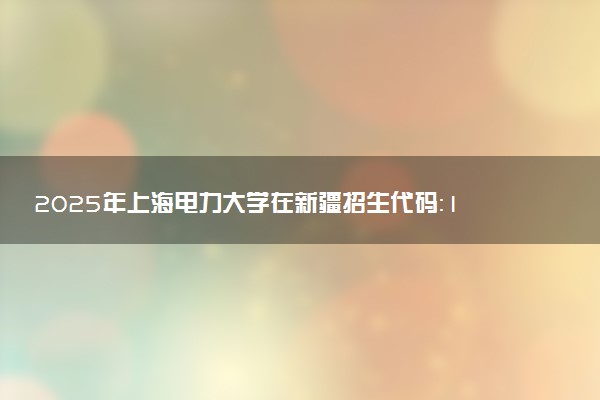 2025年上海电力大学在新疆招生代码：1204 专业代码及报考指南