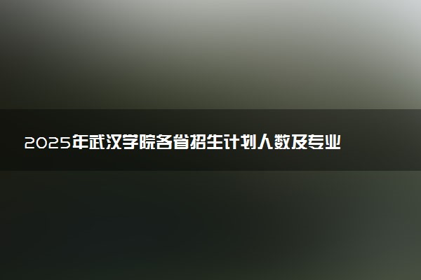 2025年武汉学院各省招生计划人数及专业代码学费