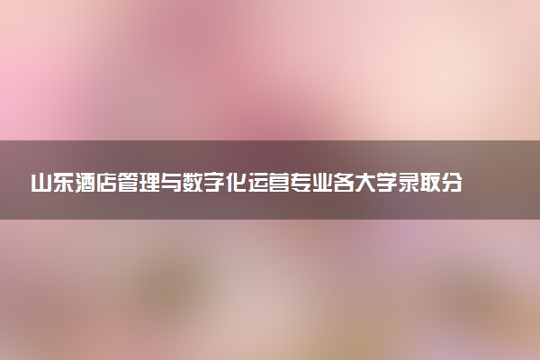 山东酒店管理与数字化运营专业各大学录取分数线：最低225分能上 开设院校及位次