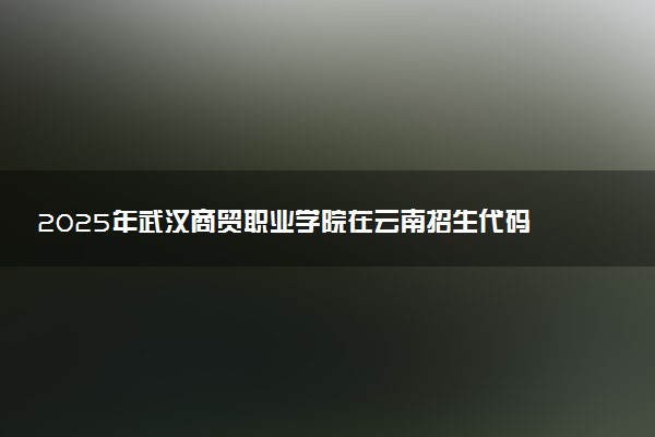 2025年武汉商贸职业学院在云南招生代码及专业代码 武汉商贸职业学院云南代码是多少？怎么查询？