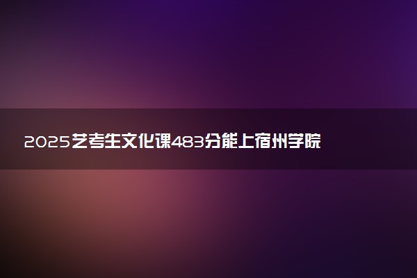 2025艺考生文化课483分能上宿州学院吗