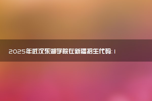 2025年武汉东湖学院在新疆招生代码：1872 专业代码及报考指南