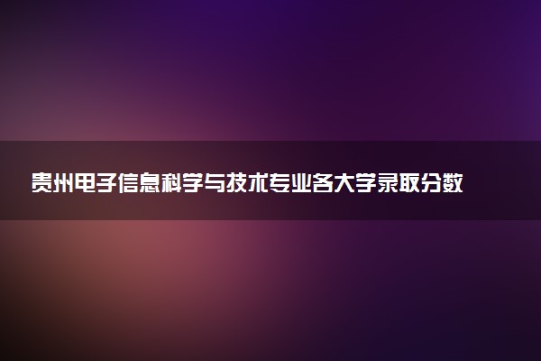 贵州电子信息科学与技术专业各大学录取分数线：最低383分能上 开设院校及位次
