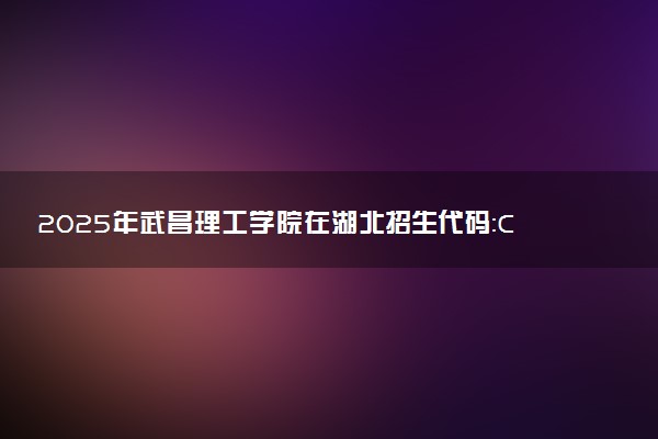 2025年武昌理工学院在湖北招生代码：C215 专业代码及报考指南