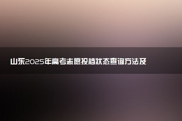山东2025年高考志愿投档状态查询方法及入口 投档轨迹怎么查