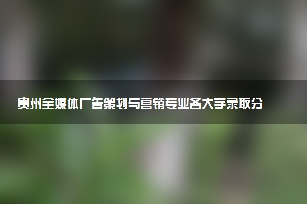 贵州全媒体广告策划与营销专业各大学录取分数线：最低215分能上 开设院校及位次