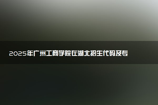 2025年广州工商学院在湖北招生代码及专业代码 广州工商学院湖北代码是多少？怎么查询？