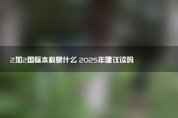 2加2国际本科是什么 2025年建议读吗