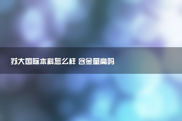 苏大国际本科怎么样 含金量高吗