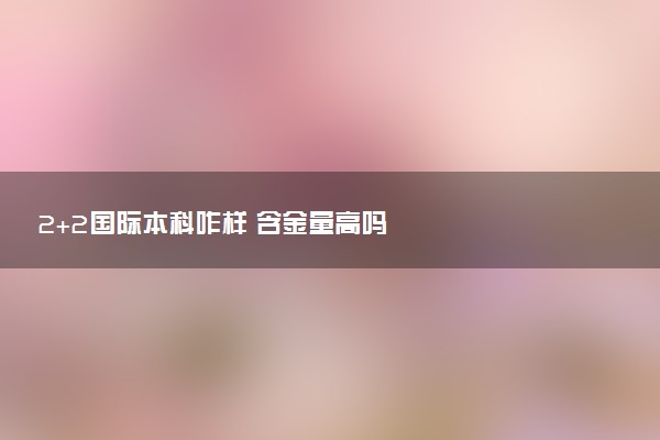 2+2国际本科咋样 含金量高吗