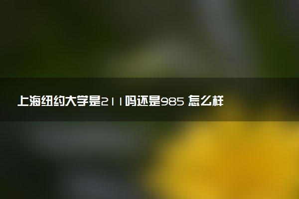 上海纽约大学是211吗还是985 怎么样值得读吗及学长学姐评价