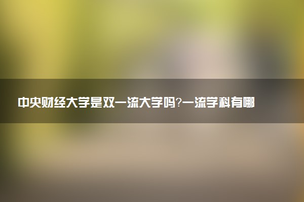 中央财经大学是双一流大学吗？一流学科有哪些及历年分数线位次