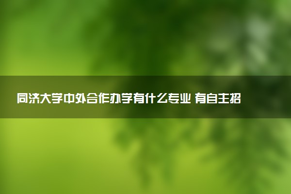 同济大学中外合作办学有什么专业 有自主招生吗