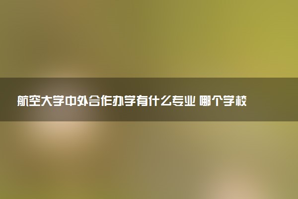 航空大学中外合作办学有什么专业 哪个学校好