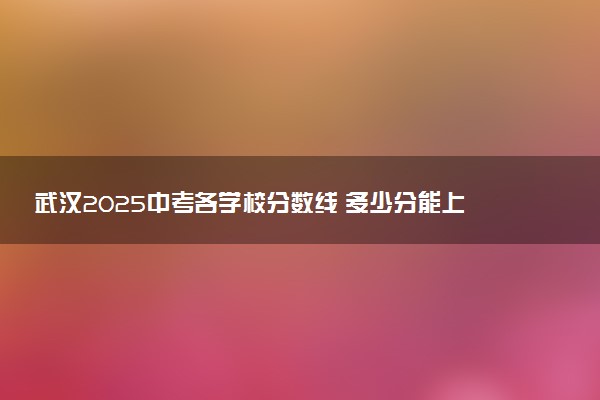 武汉2025中考各学校分数线 多少分能上示范高中