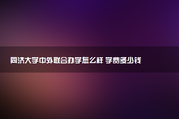 同济大学中外联合办学怎么样 学费多少钱