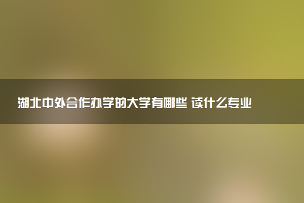 湖北中外合作办学的大学有哪些 读什么专业好