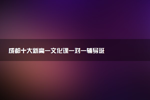 成都十大新高一文化课一对一辅导班
