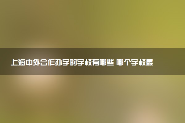 上海中外合作办学的学校有哪些 哪个学校最好