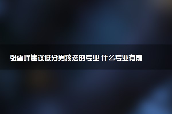 张雪峰建议低分男孩选的专业 什么专业有前途