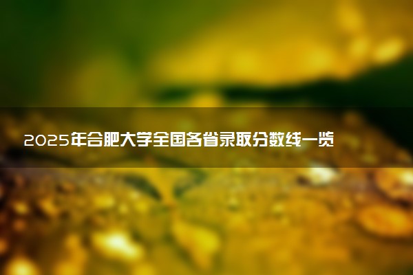 2025年合肥大学全国各省录取分数线一览表