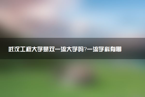 武汉工程大学是双一流大学吗？一流学科有哪些及历年分数线位次