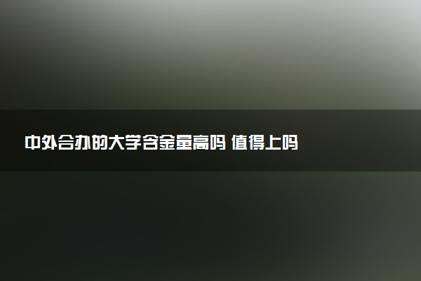 中外合办的大学含金量高吗 值得上吗