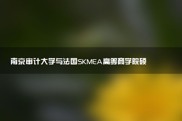 南京审计大学与法国SKMEA高等商学院硕士是什么模式的